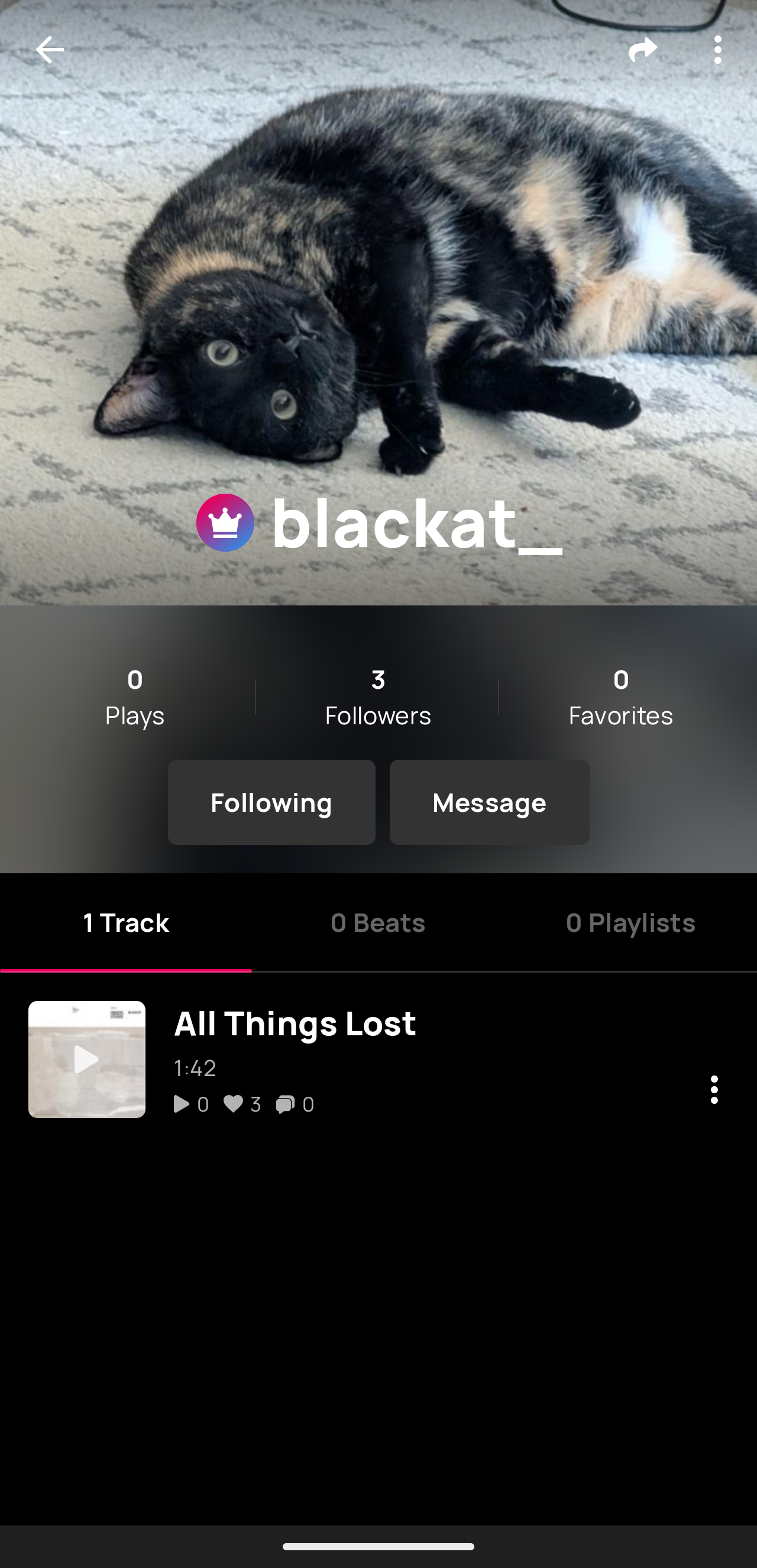 An Artist Profile