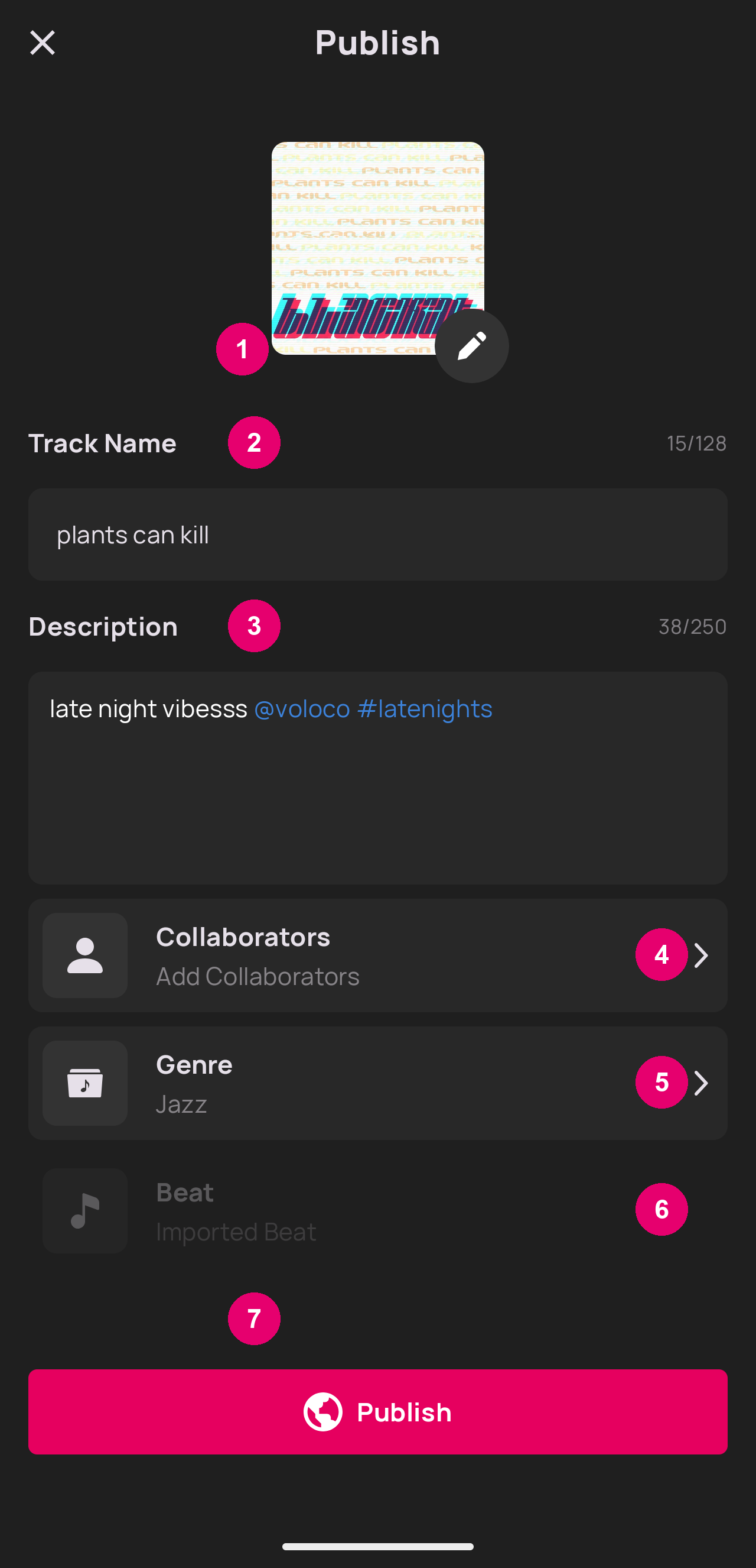 The Publish view