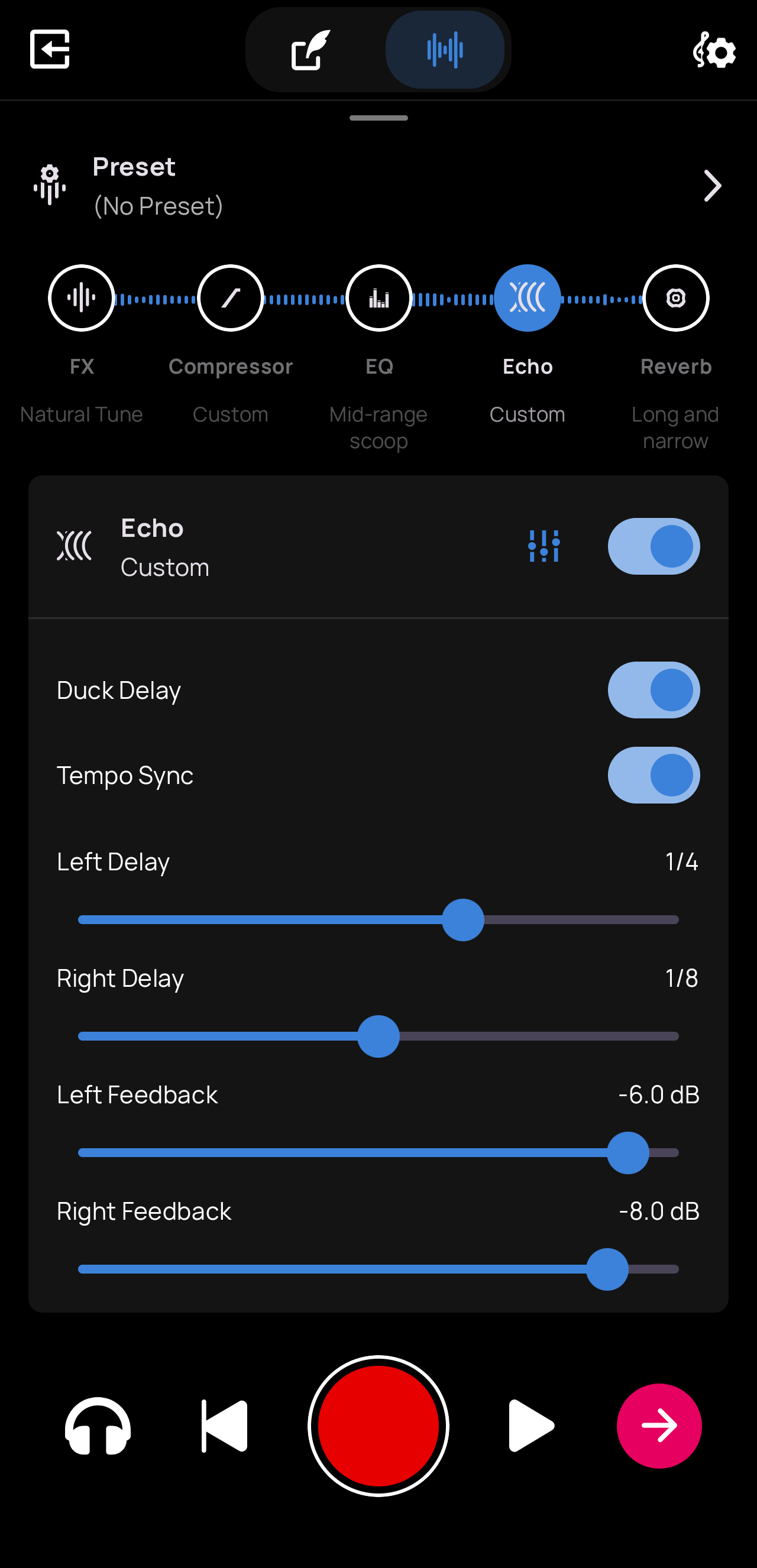 The Custom Echo panel
