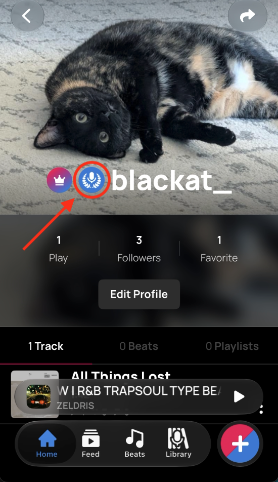 Voloco profile with the Studio Master badge next to the username